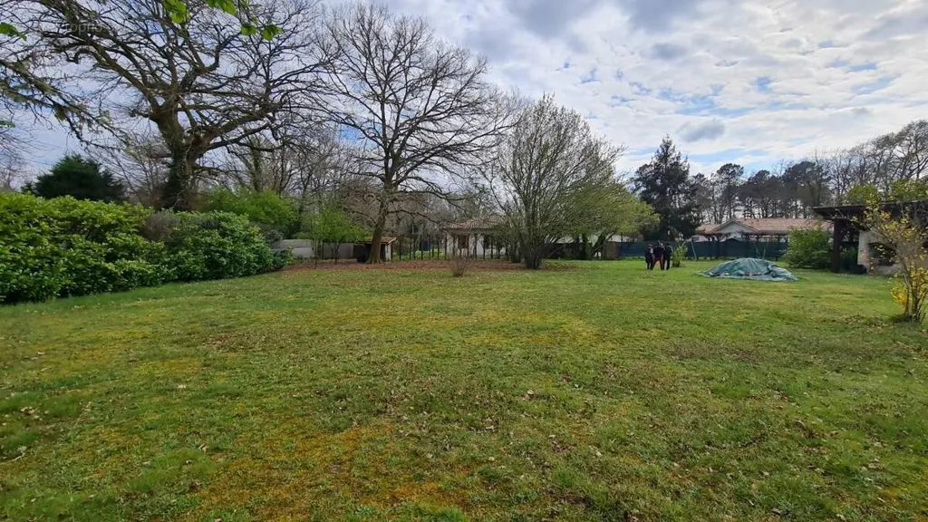 Garden - Buildable Plot in Pontenx-les-Forges