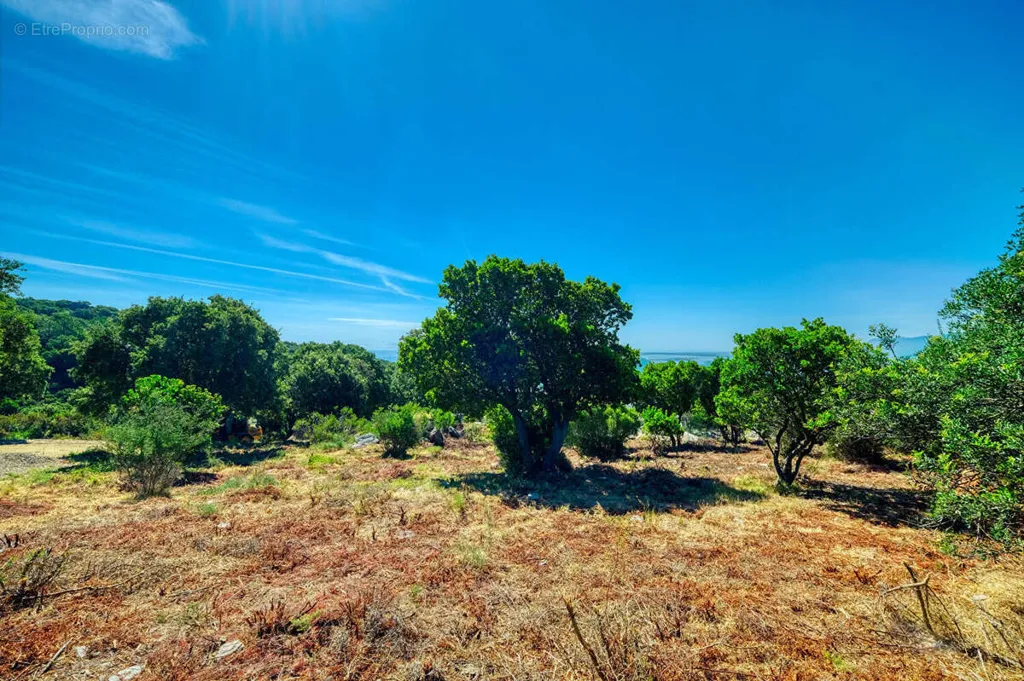 Jardin - Terrain Constructible avec Vues Panoramiques à Bastia