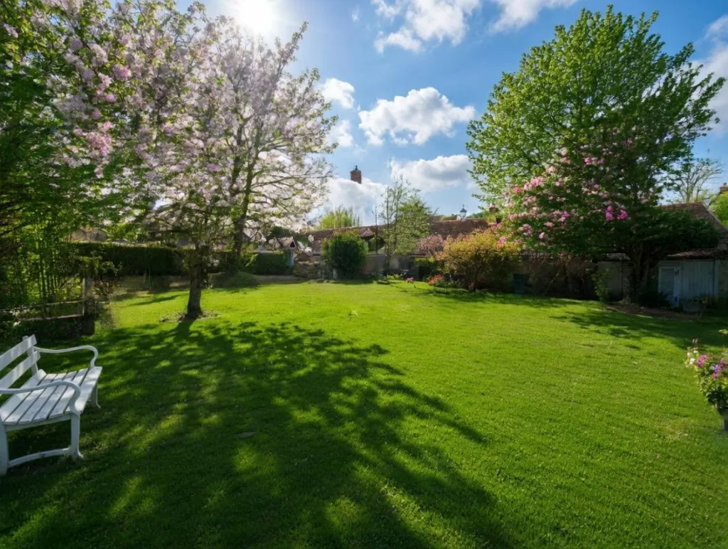 garden