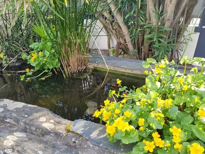 garden