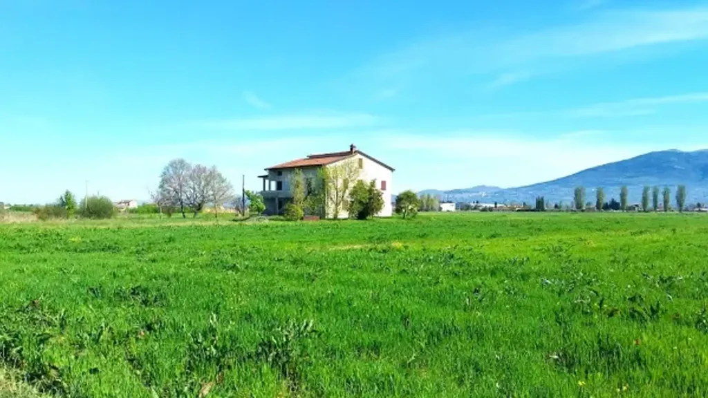 Garden - Rustic House with Garden in Cannara
