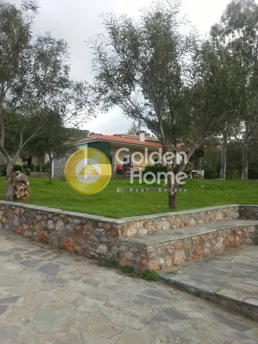 Aed - Modern Villa with Sea View in Styra