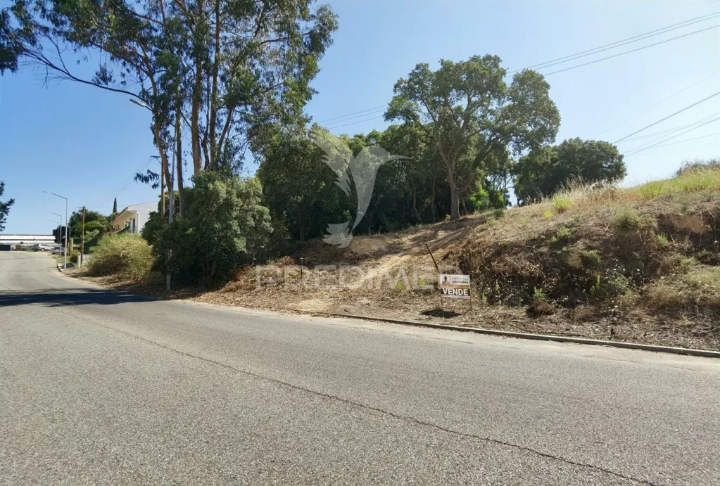Aed - Approved Luxury Home Project in Santarém