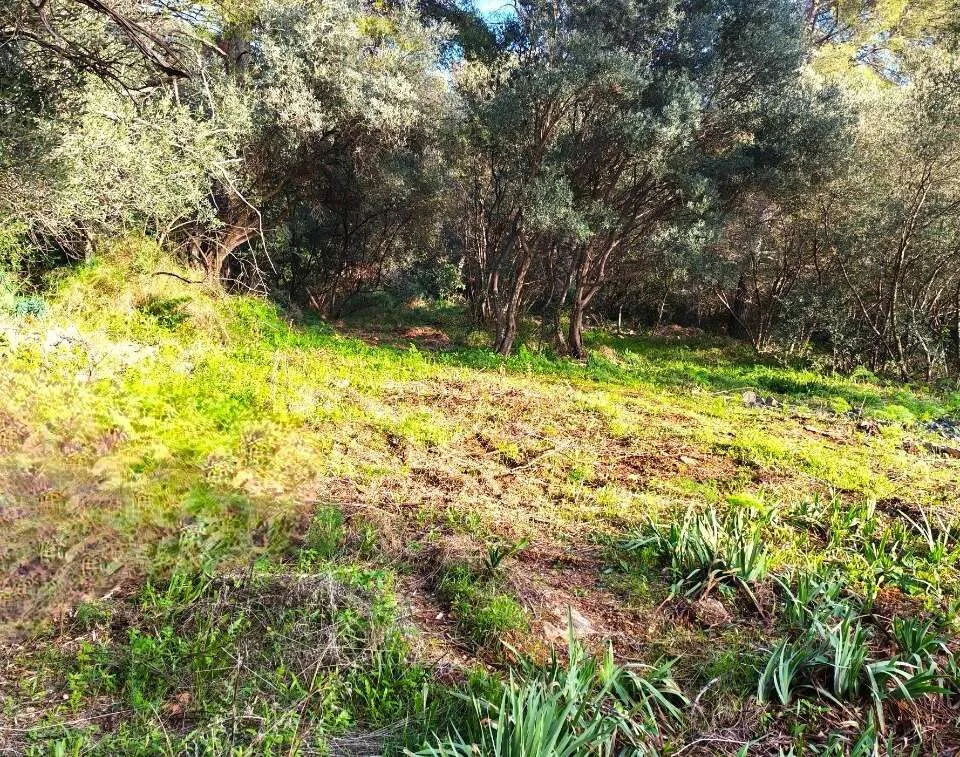 Aed - Buildable Plot with Garden in Toulon