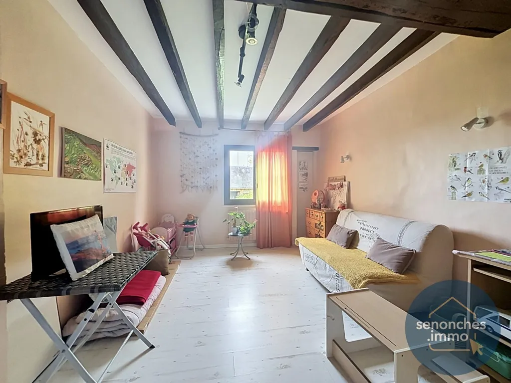 Living Room - Longère with Garden in Saintigny, Perche