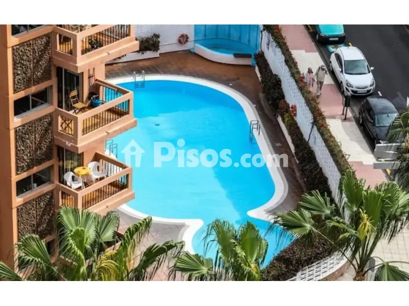 Bassein - Studio with Sea View in Puerto de la Cruz