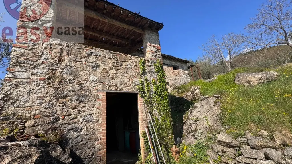 Extérieur - Rustic Property with Olive Grove in Lucca
