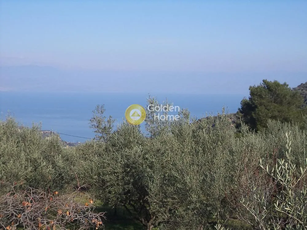 Aed - Plot with Sea View in Evrostini - Koumaria