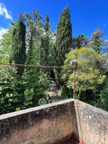 Terrasse - Rustic Farmhouse with Vineyard in Casciana Terme