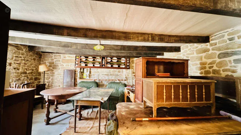 Utility Room - Rare Farmhouse with 20 Hectares in CAST