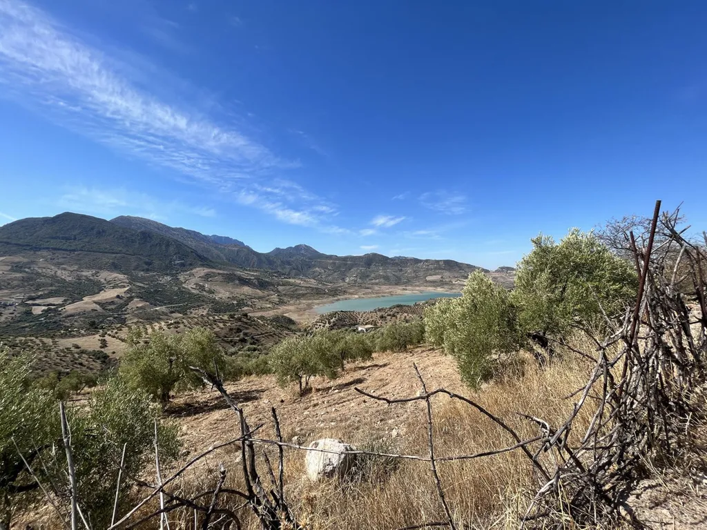Jardin - Rustic Estate with Natural Setting in Ronda