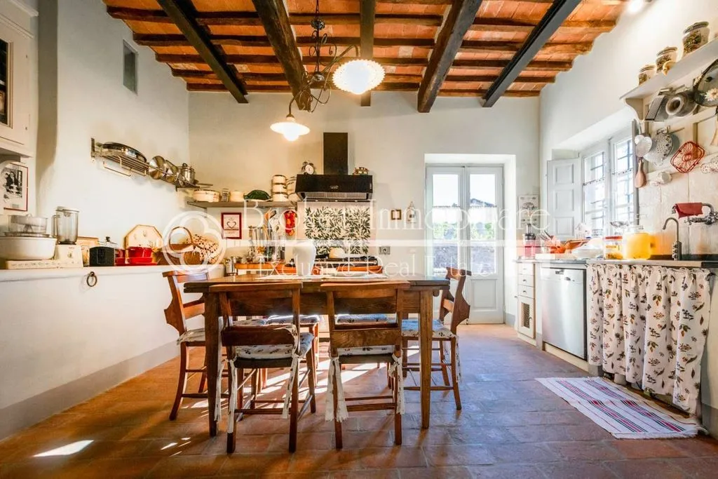 Dining Room - Rustic Villa with Olive Grove in Massarosa
