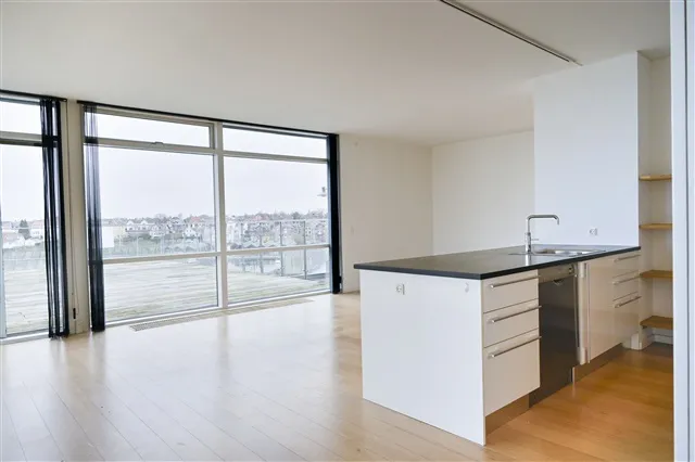Cuisine - Penthouse with Terraces in Nyborg Harbour
