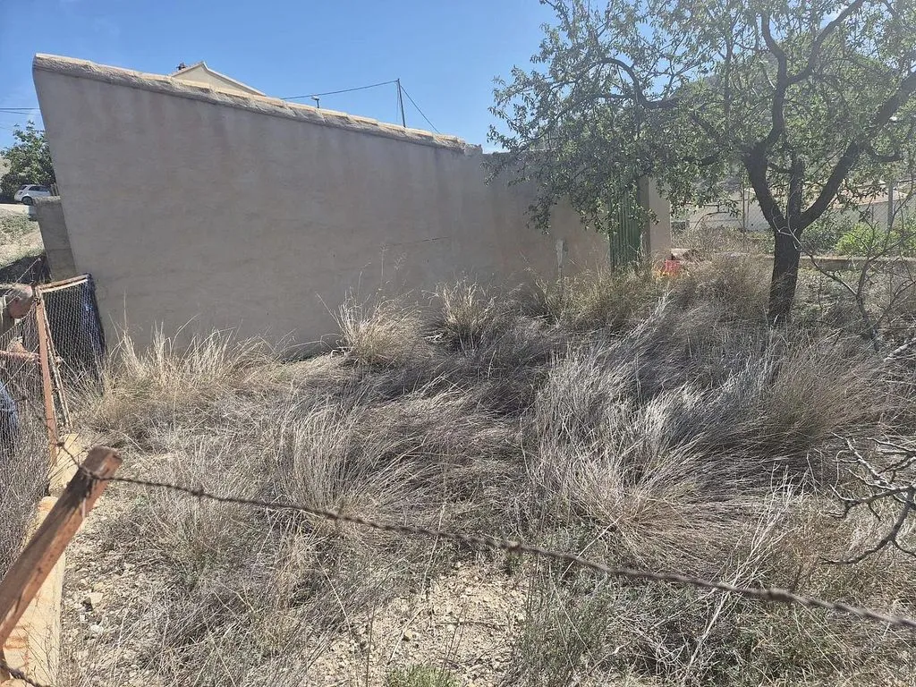 Giardino - Rural House with Potential in Fortuna