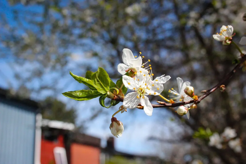 7-toaline maja asukohas Strängnäs kommun
