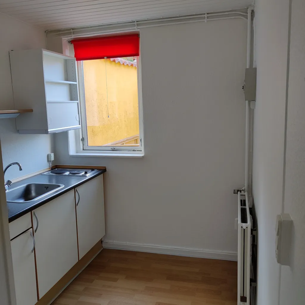Cuisine - One-Bedroom Apartment with Kitchen in Central Location
