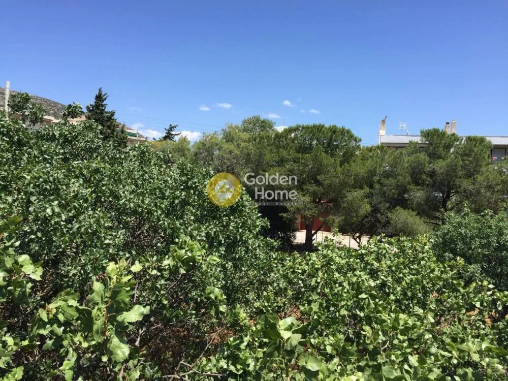 Giardino - Villa with Garden in Eastern Attica