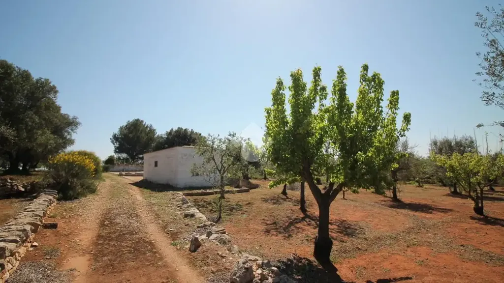 Rustic Cottage with Buildable Land near Ostuni
