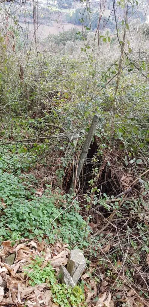 Aed - Rustic Land in Moura Morta