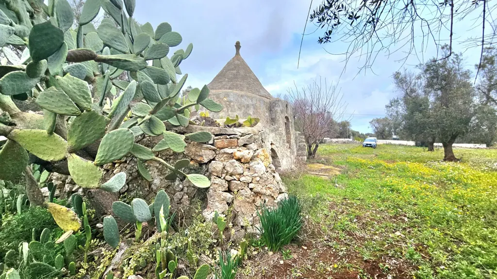 Esterno - Trullo da ristrutturare con terreno a Carovigno