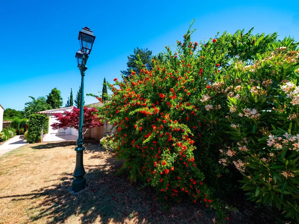 Jardin - Maison avec Vue Montagnes et Piscine à Bédarieux