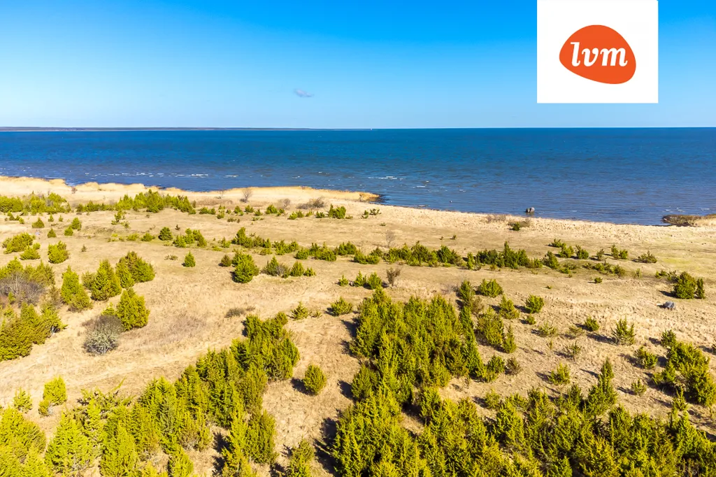 Kinnisvara asukohas Saaremaa