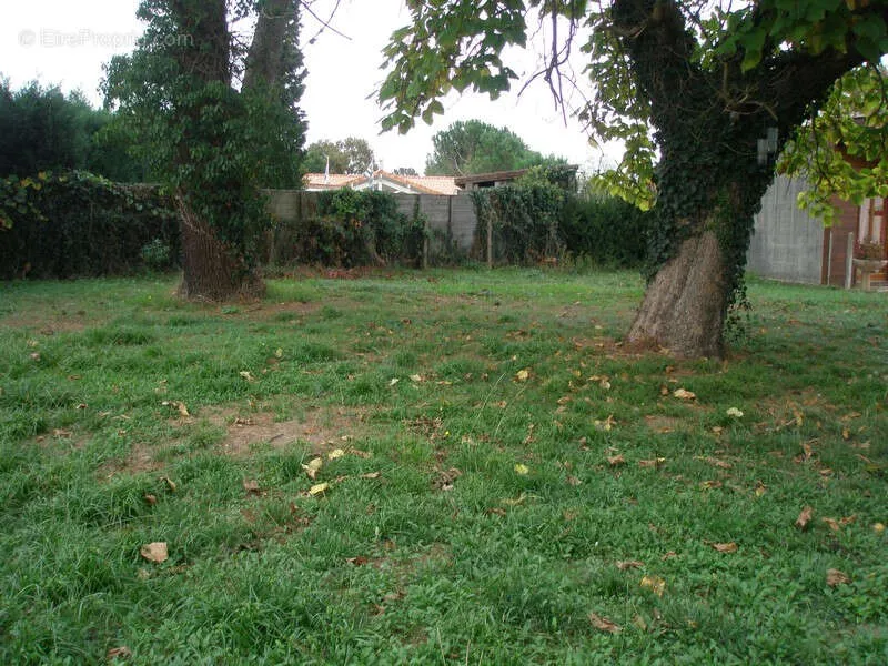 Jardin - Maison de Plain-Pied avec Terrain à Saint Vincent De Paul