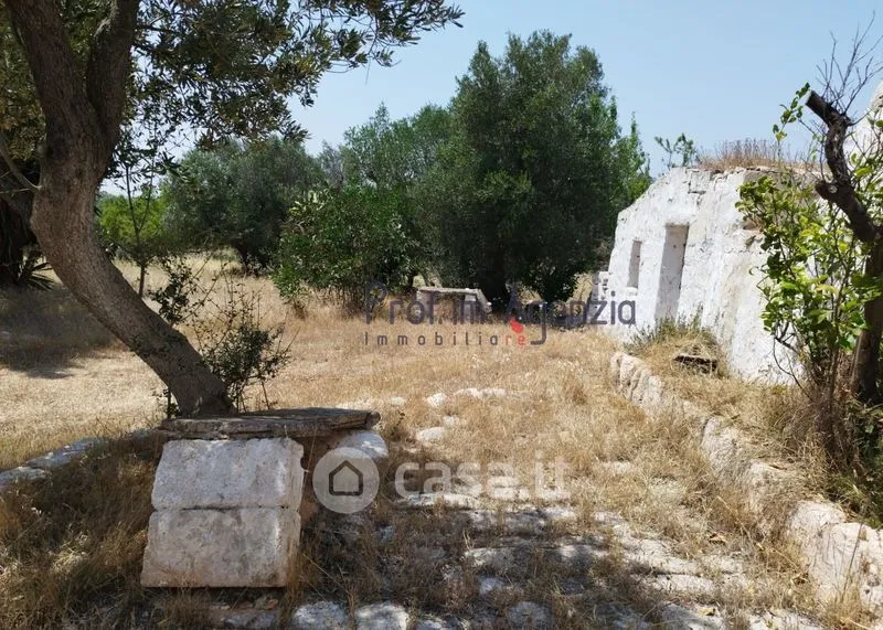 Aed - Trullo Complex with Olive Grove in San Michele Salentino