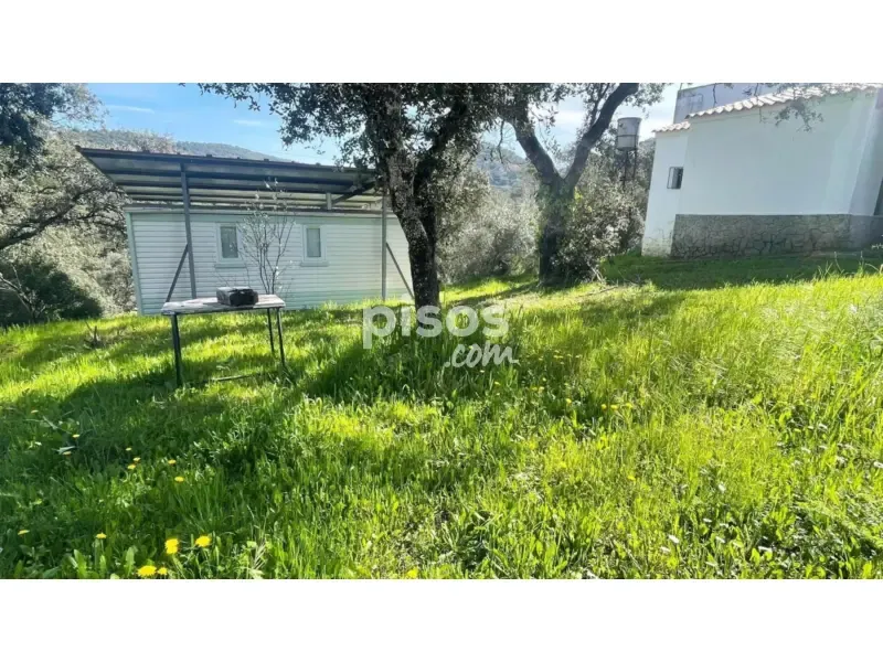 Aed - House with Pool in Villaharta