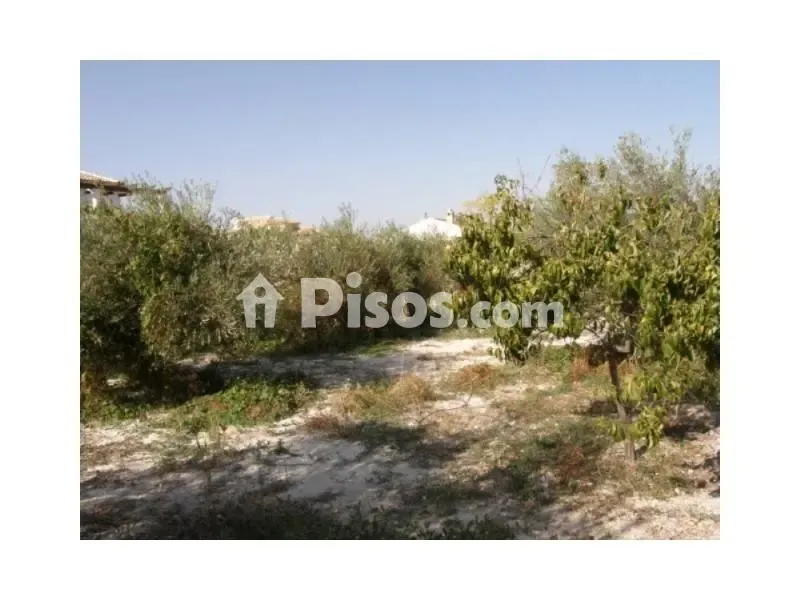 Aed - Chalet with Pool in Fuerte del Rey