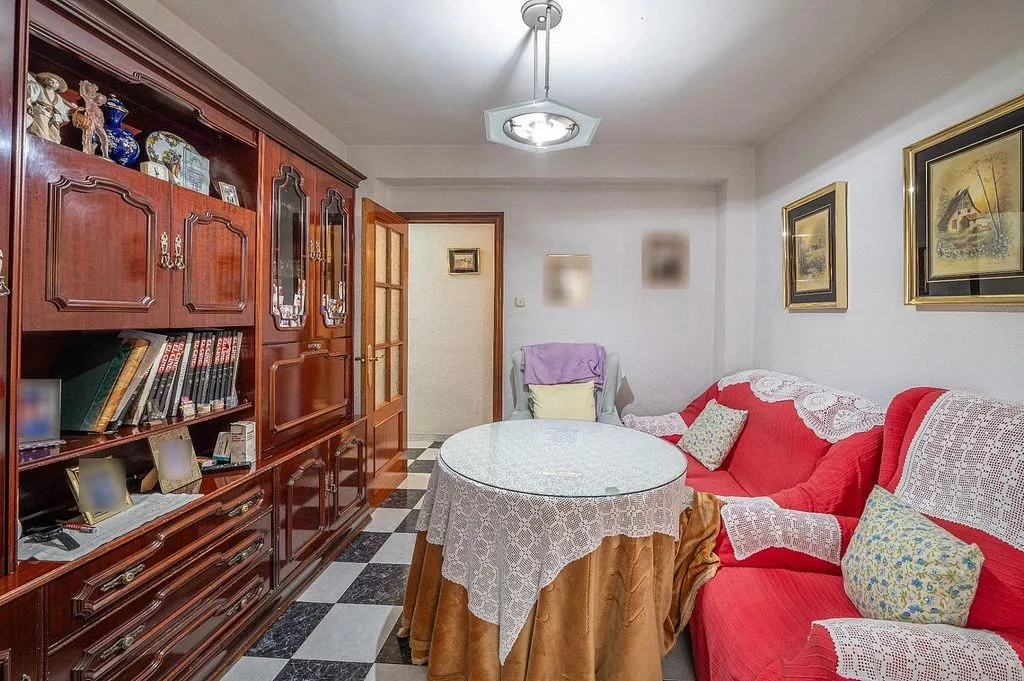 Living Room - Apartment with Terrace in Zaidín District
