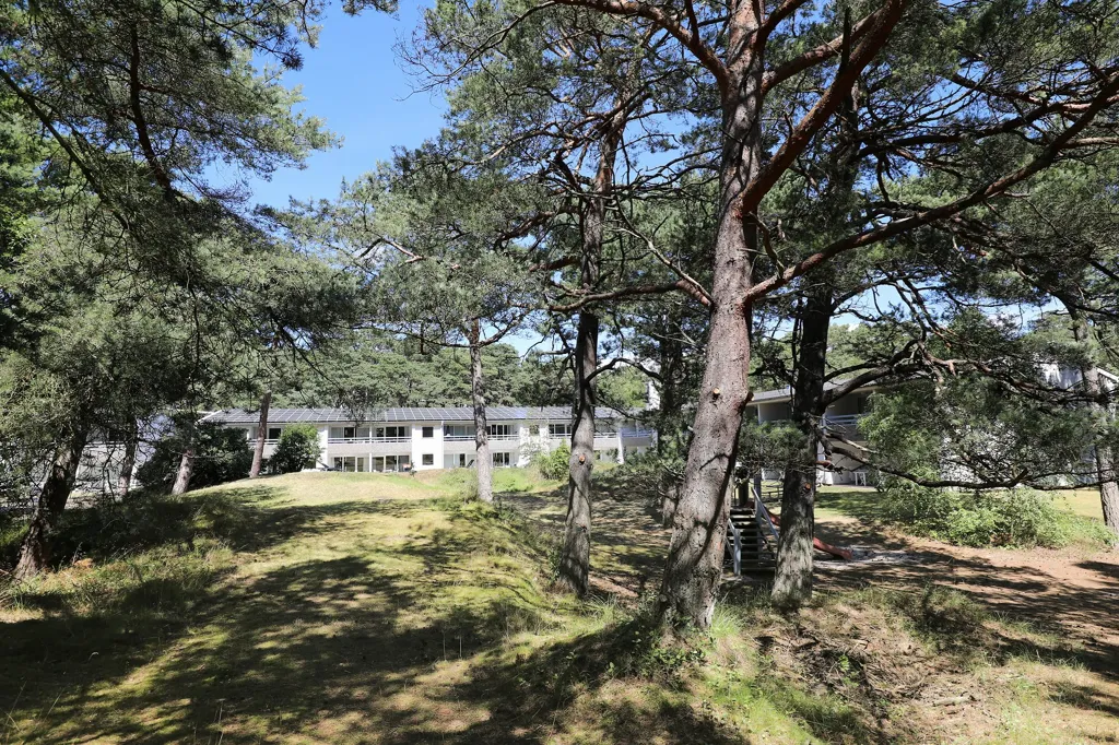 Jardin - Modern Apartment with Forest View in Dueodde