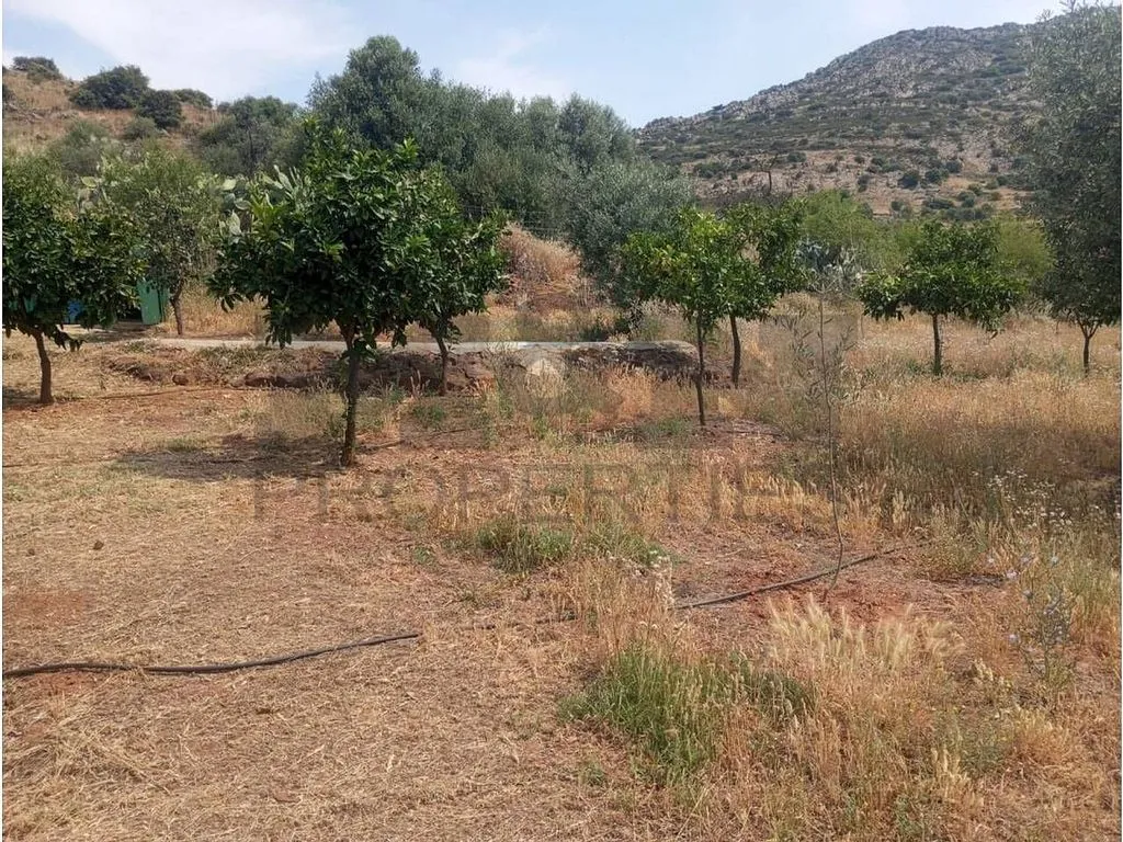 Aed - Rural Cortijo with Pool near Alange
