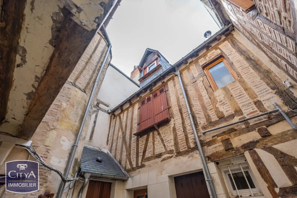 Jardin - Studio Historique au Cœur de Tours
