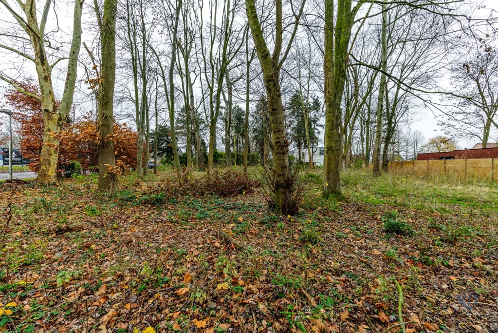 Jardin - Terrain à Bâtir avec Verkavelingsvergunning à Dikkelvenne