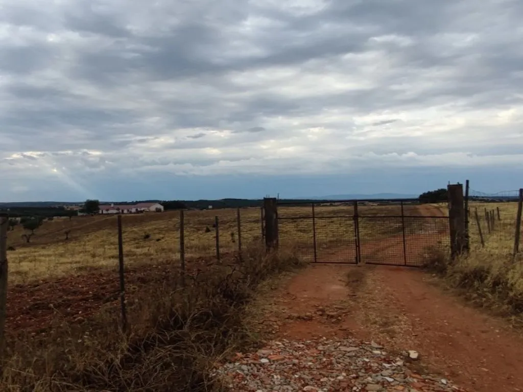 Aed - Luxury Farmhouse with Olive Grove in Redondo
