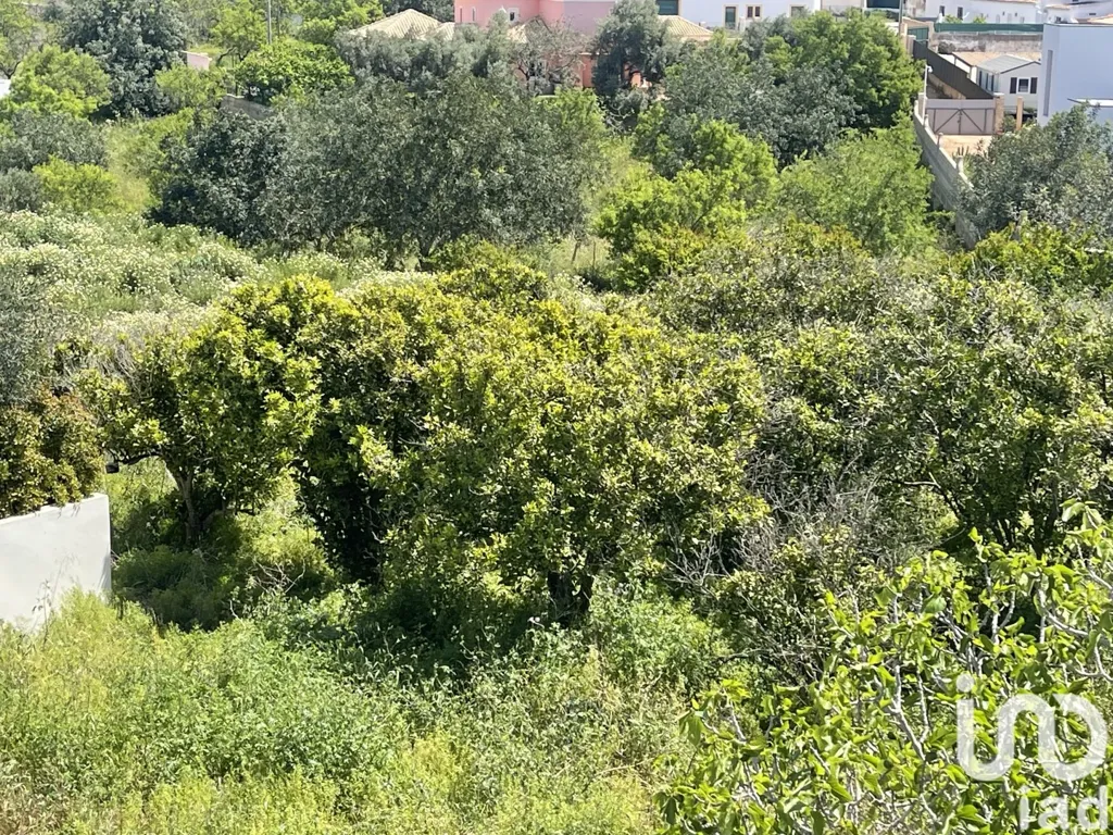 Jardin - Approved Project Land with Panoramic View in Boliqueime