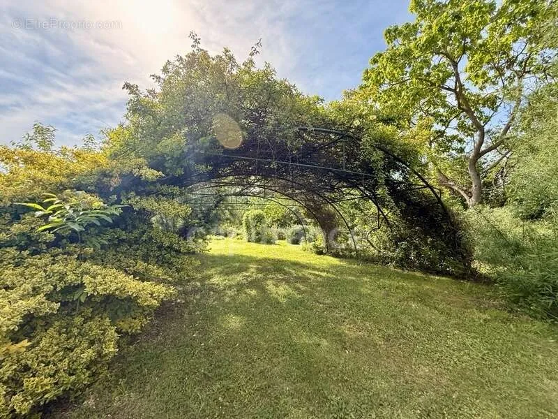 Jardin - Propriété de Caractère avec Parc à Limoux
