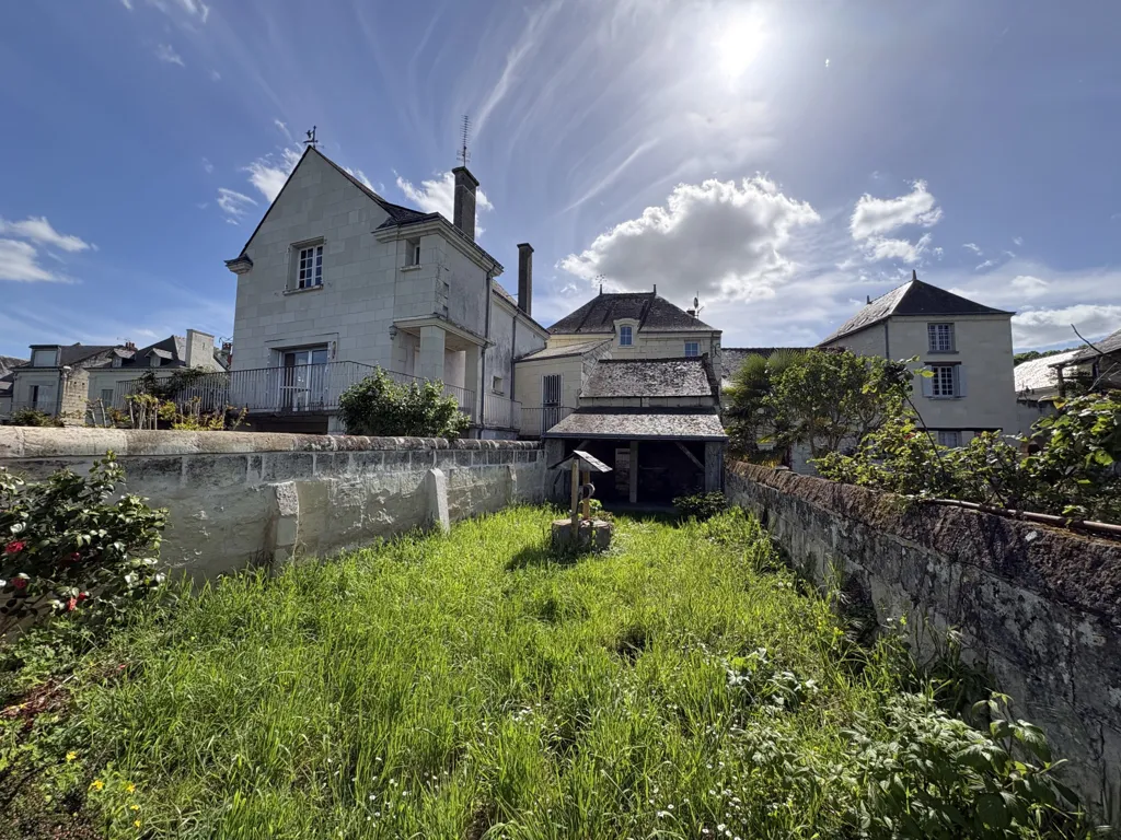 Aed - Charming House with Loire View in Candes-Saint-Martin