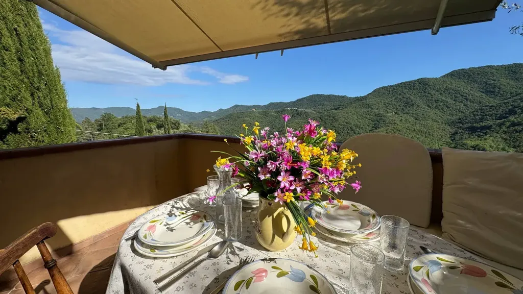 Terrasse - Restored Stone Villa with Open Valley View in Casanova Lerrone