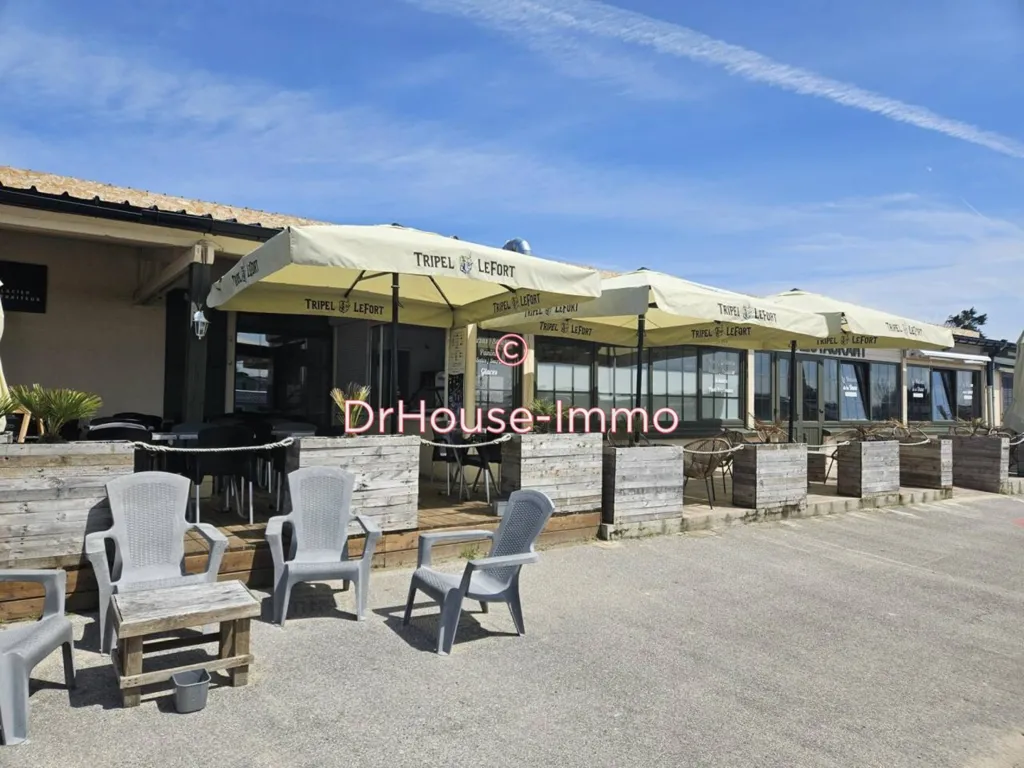 Extérieur - Restaurant Bar Brasserie avec Terrasse à Bray-Dunes