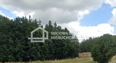 Tutte le foto (6) - Forest Plots with Building Plot in Borkowo