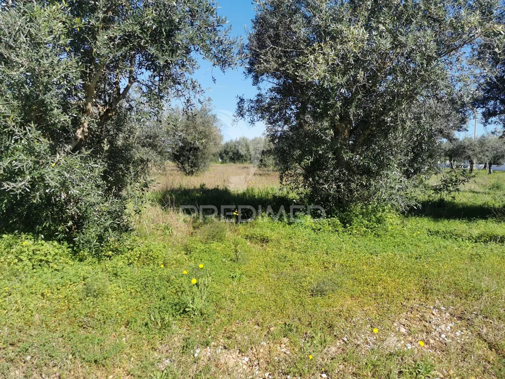 Aed - Urban Plot with Construction Permit in Lisbon