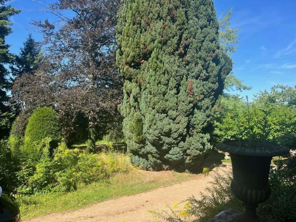 garden