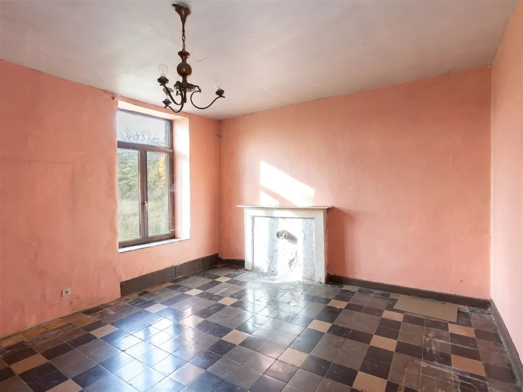 Toad - Historic House with Development Potential in Beauraing