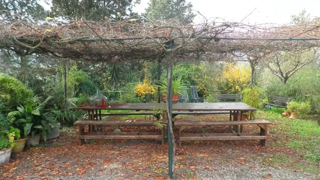 Jardin - Stone Cottage with Panoramic Views near Rosignano