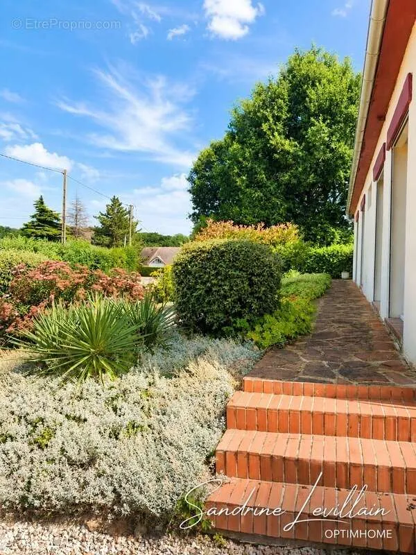 Aed - Spacious Detached House with Garden in Beaumont-le-Roger