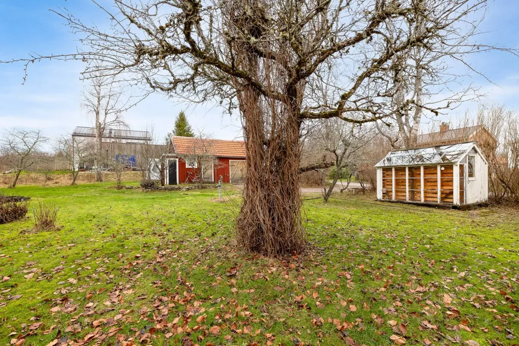 Garden - Villa with Garden in Askerlunda