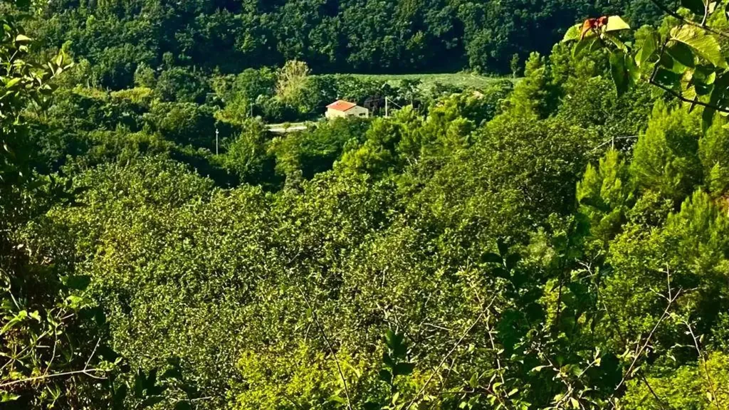 Jardin - Newly Built House with Garden in Ancona