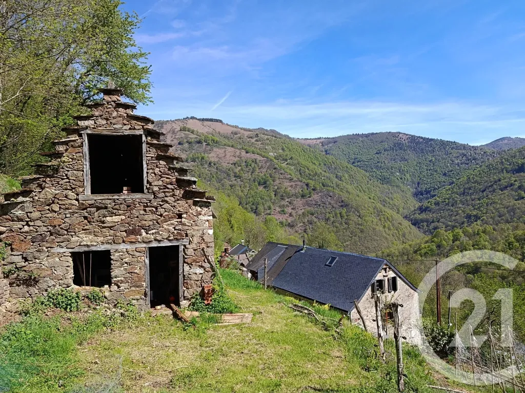 Extérieur - Maison en Pierre avec Terrain à Aleu